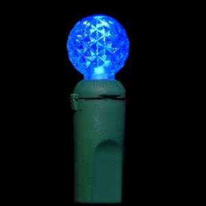  Blue G 12 Raspberry LED Christmas Lights