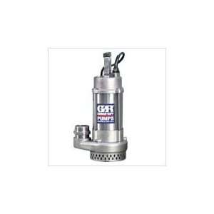  OTS 2 GR Stainless Steel Submersible Pump with 1 HP, 115 V 
