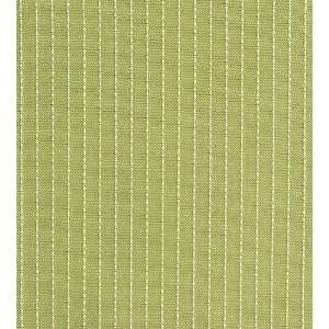  8708 Austin in Pistachio by Pindler Fabric