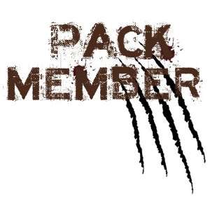  Team Jacob Pack Member Mark Temporary Tattoo Pack   6 Tats 