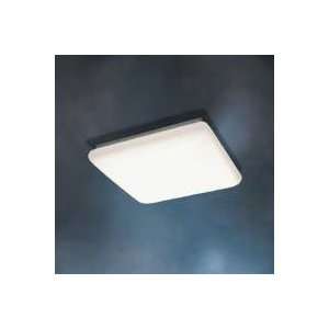   Fluorescent Ceiling Flush Mount   10304/10304