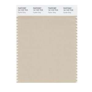  PANTONE SMART 14 1107X Color Swatch Card, Oyster Gray 
