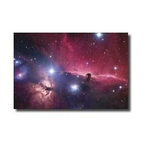  Horsehead Nebula Giclee Print