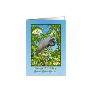  Birthday, Great Grandfather, Tricolored Heron in a Tree 