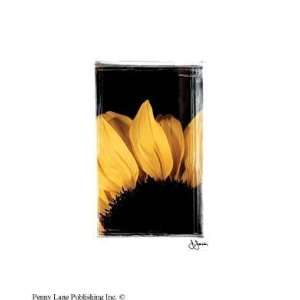   Print   Sunflower   Artist John Jones   Poster Size 11 X 14 inches