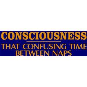    Consciousness   that confusing time between naps 