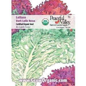  Organic Lettuce Seed Pack, Dark Lolla Rosa Patio, Lawn & Garden