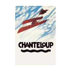 Biplane Executes a Loop 20x30 poster 