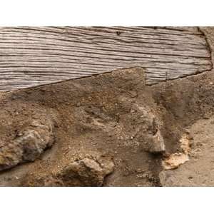  Old and Rotten Wood Against Dilapidated Plaster of Wall 