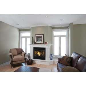 24VFSNVC VFS Vent Free 24 in. Fireplace System with Millivolt Control 