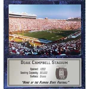 Doak Campbell Stadium (Florida State Seminoles) 12 x 15 Plaque with 