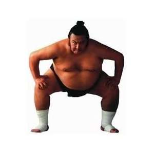  Sumo Wrestler Diecut Magnet 