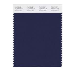  PANTONE SMART 19 3933X Color Swatch Card, Medieval Blue 