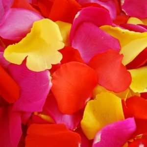  FRESH Rose Petals Tricolor Yellow Red Hot Pink Patio, Lawn & Garden
