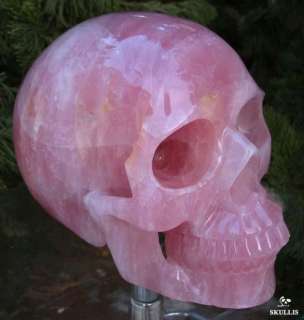 Excellent Titan 12.4 Pink Rose Quartz Rock Crystal Skull, Healing 