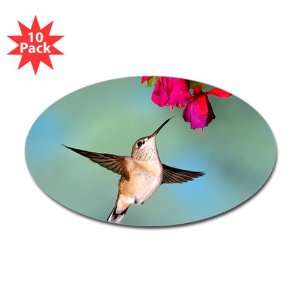   Sticker (Oval) (10 Pack) Black Chinned Hummingbird 