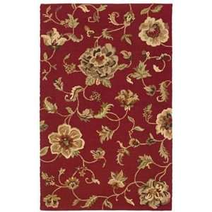  sources Dazzle LR54006 Red   5 x 7 9