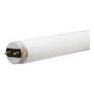  32W Linear Fluorescent Bulb, Pack of 36