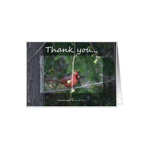  Cardinal   Early Spring   Thank You Note Card Health 