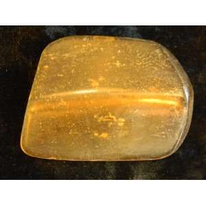 Genuine Fossilized Columbian Amber Specimen (1)  