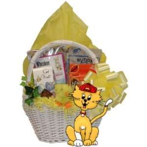  Get Well Cat Gift Basket  Basket Theme GET WELL SOON 