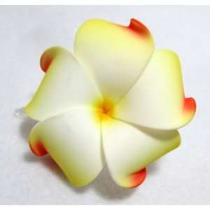   with Orange Flame Tips Plumeria Flower Hair Clip, Limited. Beauty