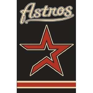 Exclusive By The Party Animal AFHOU Astros 44x28 Applique 