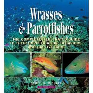  Tfh/Nylabone Wrasses & Parrotfishes