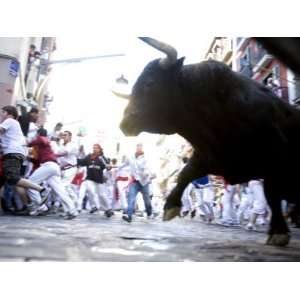  Running of the Bulls, San Fermin Festival, Pamplona 
