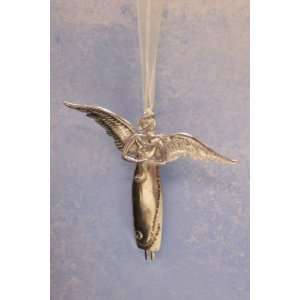  I Welcome All Creatures Cat   Angel Ornament/Wall Hanging 