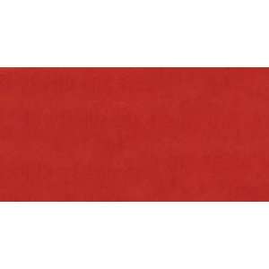  Jacquard Acid Dyes 1/2 Ounce Fire Red 