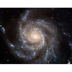  Space Telescope Astronomy Poster Print   Hubbles Largest Galaxy 