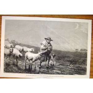  Bottomley Shepherd Sheep Dog Royal Academy Fine Art