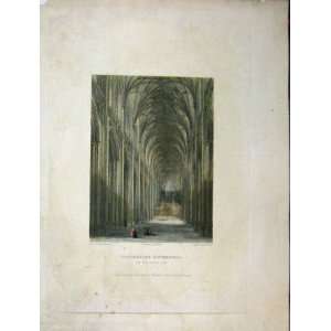  C1837 Winchester Cathedral Nave Winkles Engraving