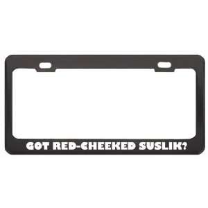 Got Red Cheeked Suslik? Animals Pets Black Metal License Plate Frame 