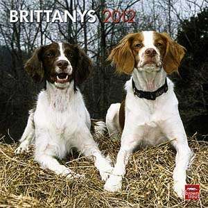  2012 Brittanys Calendar