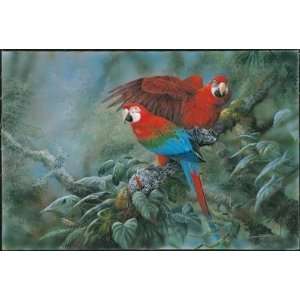  Gamini RaTNAVIRA Parrot Print Green Wing Macaws 