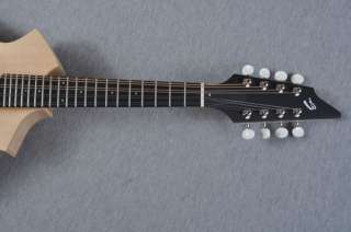 Breedlove American Series KF Mandolin   Made in USA 875934003645 