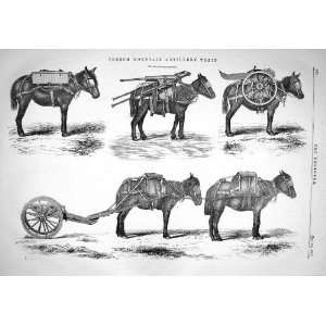   FRENCH MOUNTAIN ARTILLERY TRAIN HORSES WEAPONS GUNS