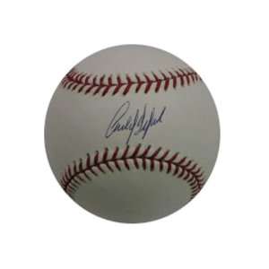   Carlos Delgado Baseball (MLB Authenticated)