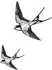 swallow birds rubber stamps 1.5x1.5 and 0.9x0.9 UM  