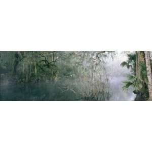  View of Mist Over a Lake in the Wilderness, Blue Springs State 