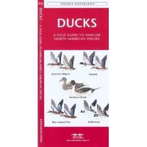  Waterford Press WFP1583552391 Ducks Book