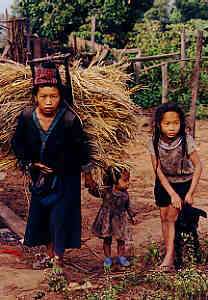 Woman with Children of the White Hmong (Meo), Hmong Village in Chiang 