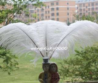 10 white ostrich feathers wedding party decorations  