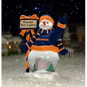 CHICAGO BEARS Limited Edition Memory Company City Limits 