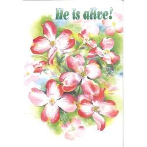  Easter Bulletin   He Is Alive   *50 Pack   Dogwood 