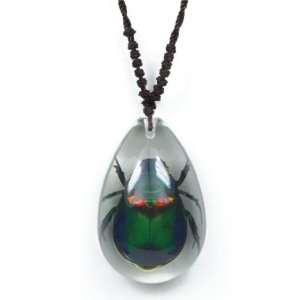 Real Insect Necklace Rutelian Beetle (Medium)