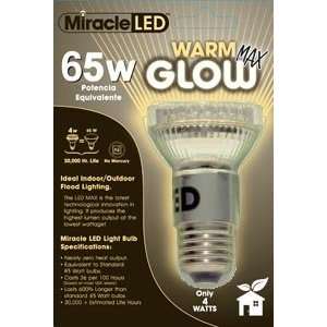  65W LED Max WARM Flood Light Bulb (2 pack)