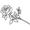 1029C   Single Rose   WEDD_1029C